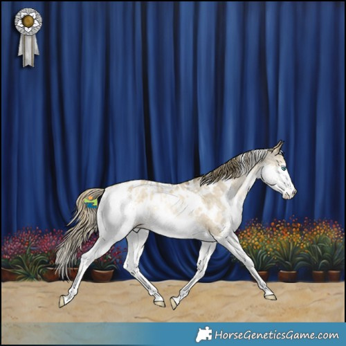 Horse Color:White Spotted Buckskin Pearl Dun Mushroom Splash Appaloosa Rabicano Brindle
