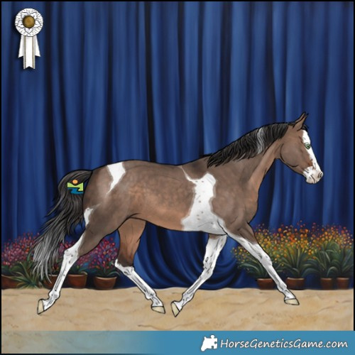 Horse Color:Brown Dun Mushroom Splash Tobiano 