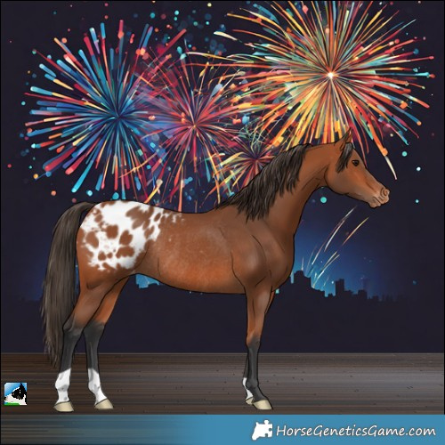Horse Color:Bay Appaloosa Rabicano