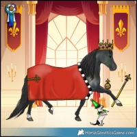 Horse Color:Black Blanket Rabicano 