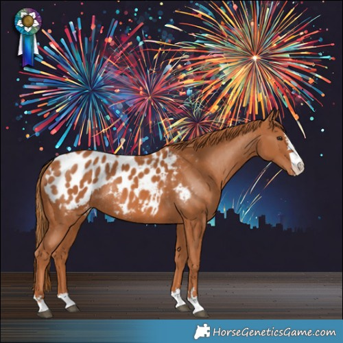 Horse Color:Chestnut Appaloosa Rabicano 