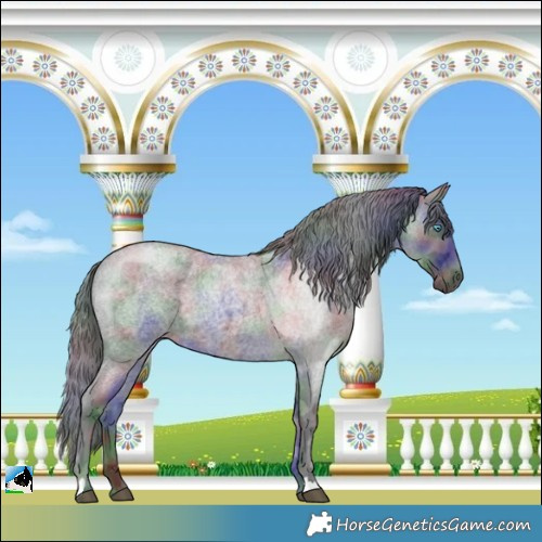 Horse Color:Nacre Blue Roan Merle 