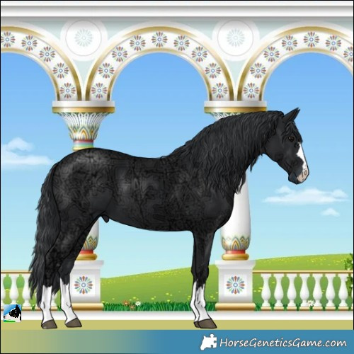 Horse Color:Black Ice Mushroom