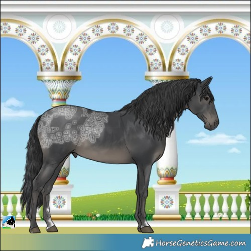 Horse Color:Black Ice