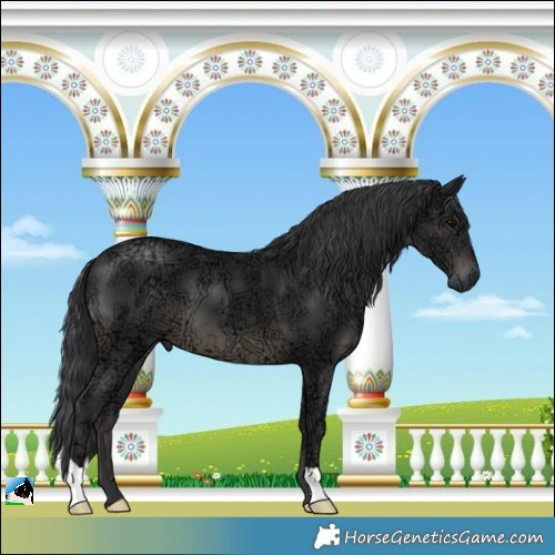 Horse Color:Black Ice