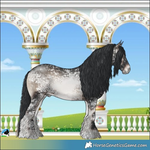 Horse Color:Blue Onyx Ice Rabicano 