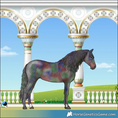 Horse Color:Nacre Black Rabicano 