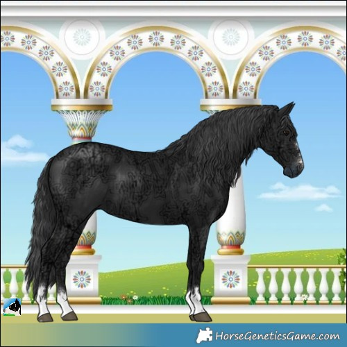 Horse Color:Black Ice Mushroom