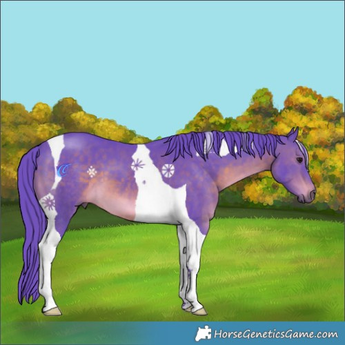 Horse Color:Watercolor Brown Tobiano