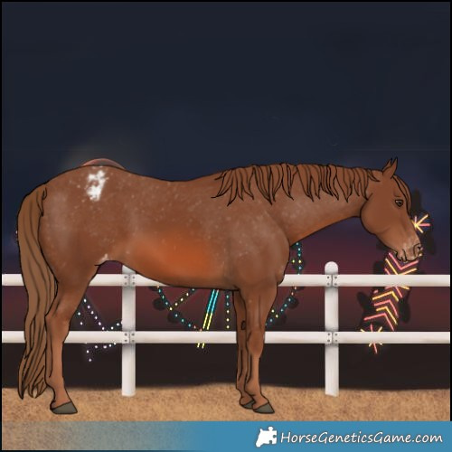 Horse Color:Chestnut Varnish 