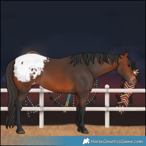 Horse Color:Bay Snowcap 