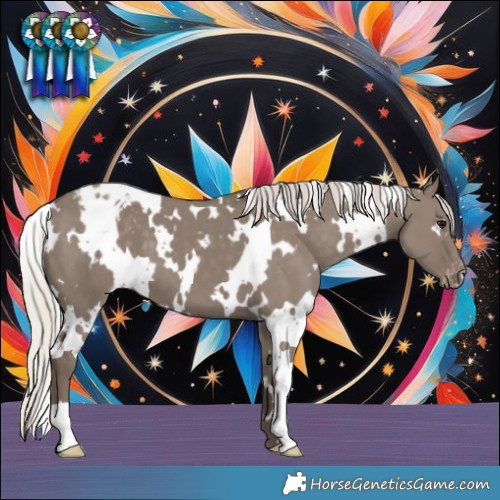 Horse Color:White Spotted Silver Grullo Appaloosa