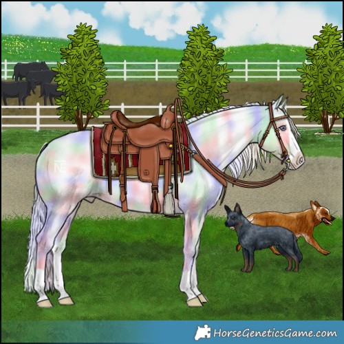 Horse Color:Nacre Silver Classic Champagne Chinchilla Onyx Splash 