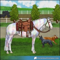 Horse Color:Nacre Silver Classic Champagne Chinchilla Onyx Splash