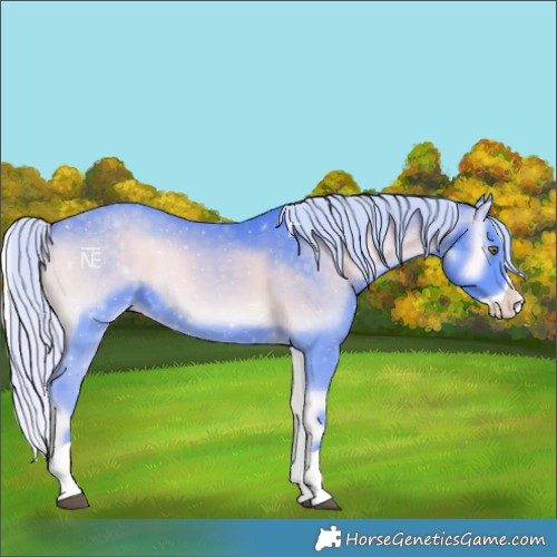 Horse Color:Watercolor Silver Blue Onyx Chinchilla Splash 