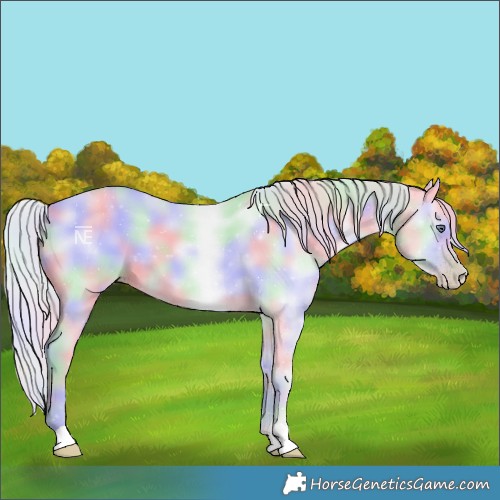 Horse Color:Nacre Silver Classic Champagne Chinchilla Dun