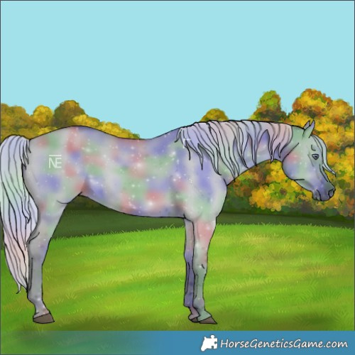 Horse Color:Nacre Silver Grullo Chinchilla 