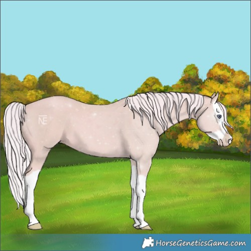 Horse Color:Watercolor Silver Classic Champagne Chinchilla Splash