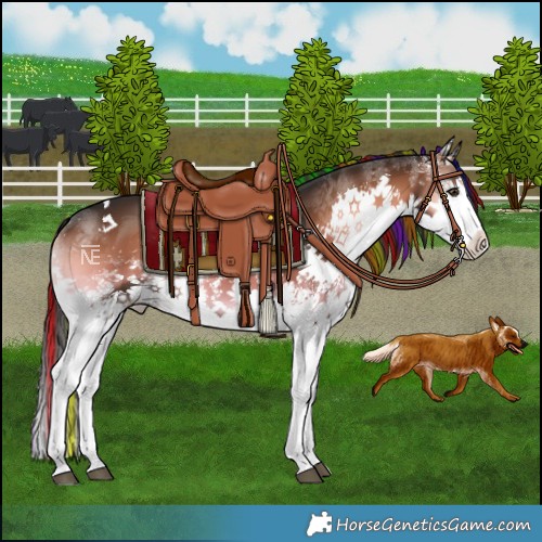 Horse Color:Painted White Spotted Liver Red Onyx Splash Tobiano 