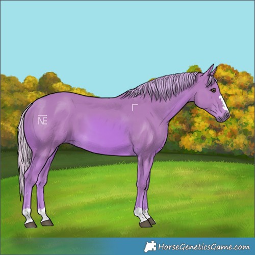 Horse Color:Watercolor Chestnut 