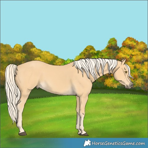 Horse Color:Pseudo Palomino 