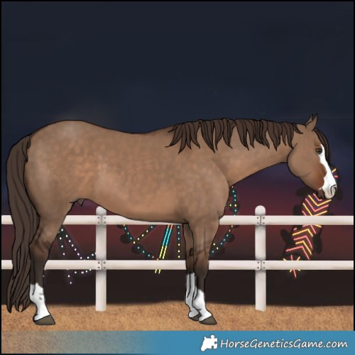 Horse Color:Liver Red Dun