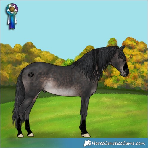 Horse Color:Void Platinum Brown 