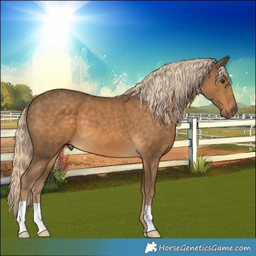 Horse Color:Chocolate Palomino