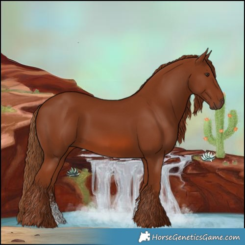 Horse Color:Chestnut Sabino 