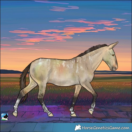 Horse Color:Powder White Buckskin Dun Varnish Brindle 