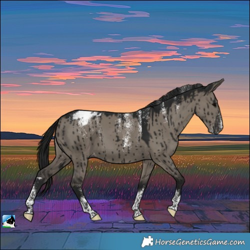 Horse Color:Powder White Gray Grullo Snowcap Brindle