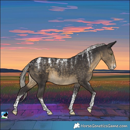 Horse Color:Powder White Silver Smoky Black Varnish Rabicano