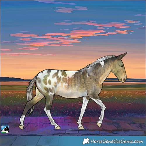 Horse Color:Silver Buckskin Dun Tobiano Blanket Rabicano Brindle 