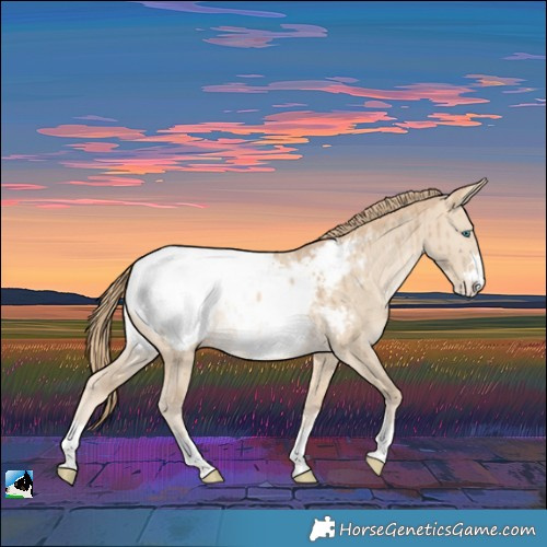 Horse Color:Perlino Dun Near Fewspot Brindle 