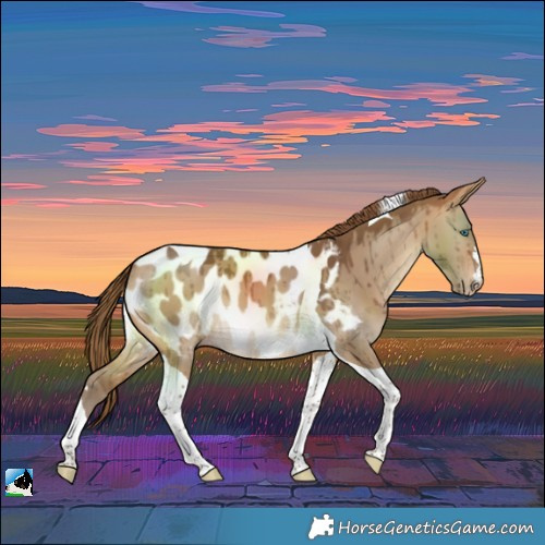 Horse Color:Gray Perlino Dun Tobiano Near Leopard Brindle