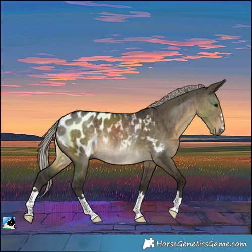 Horse Color:Gray Silver Smoky Grullo Blanket Rabicano Brindle 