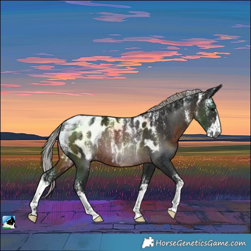 Horse Color:Powder White Gray Silver Brown Near Leopard Rabicano 