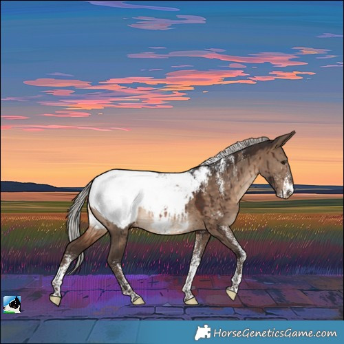 Horse Color:Powder White Silver Brown Dun Appaloosa Brindle