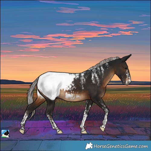 Horse Color:Powder White Gray Silver Brown Near Fewspot 