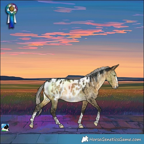Horse Color:Powder White Gray Silver Buckskin Dun Near Leopard Rabicano Brindle 