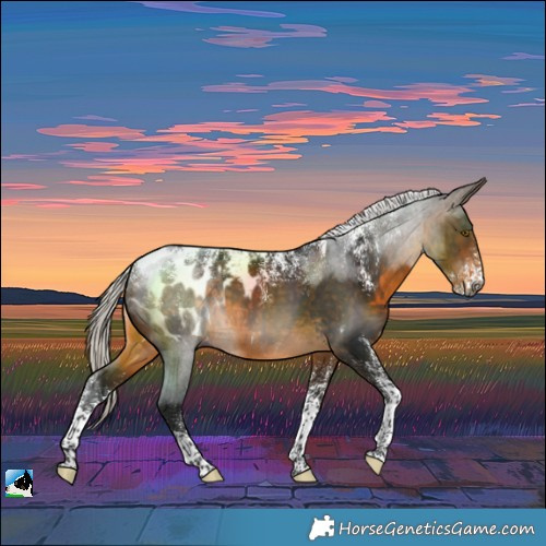 Horse Color:Powder White Gray Silver Buckskin Blanket 