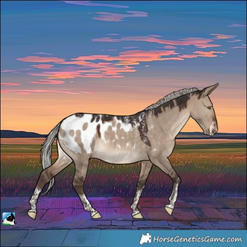 Horse Color:Powder White Silver Brown Dun Near Leopard 