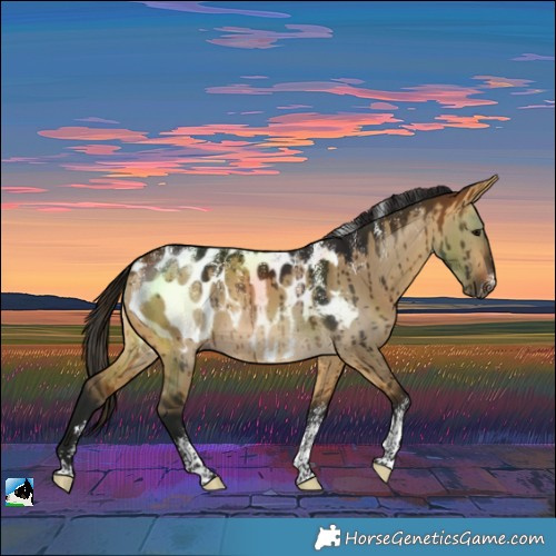 Horse Color:Powder White Gray Buckskin Dun Blanket Brindle