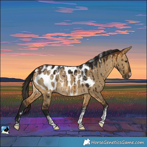 Horse Color:Powder White Gray Buckskin Dun Blanket Brindle 