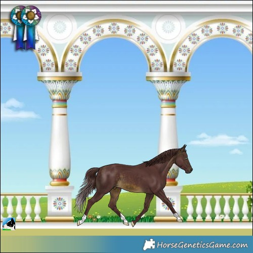 Horse Color:Chocolate Buckskin Mushroom