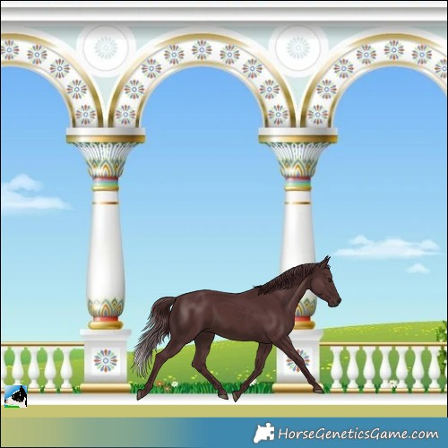 Horse Color:Chocolate Brown Mushroom