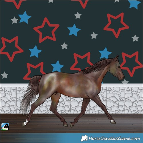 Horse Color:Chocolate Brown Rabicano 