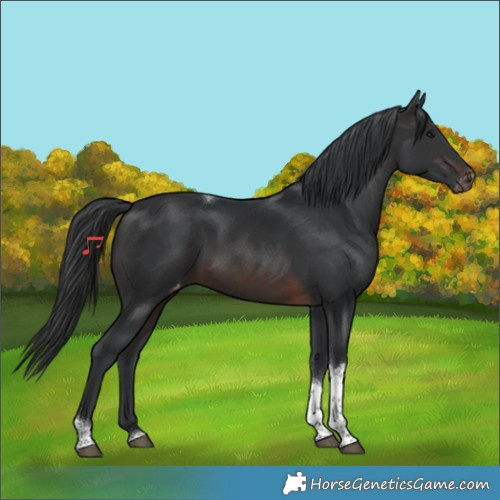 Horse Color:Brown Tobiano Varnish 