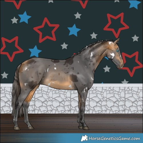 Horse Color:White Spotted Buckskin Merle Rabicano
