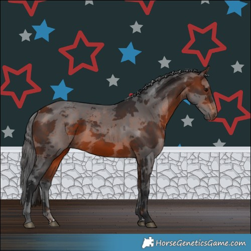 Horse Color:Bay Merle 